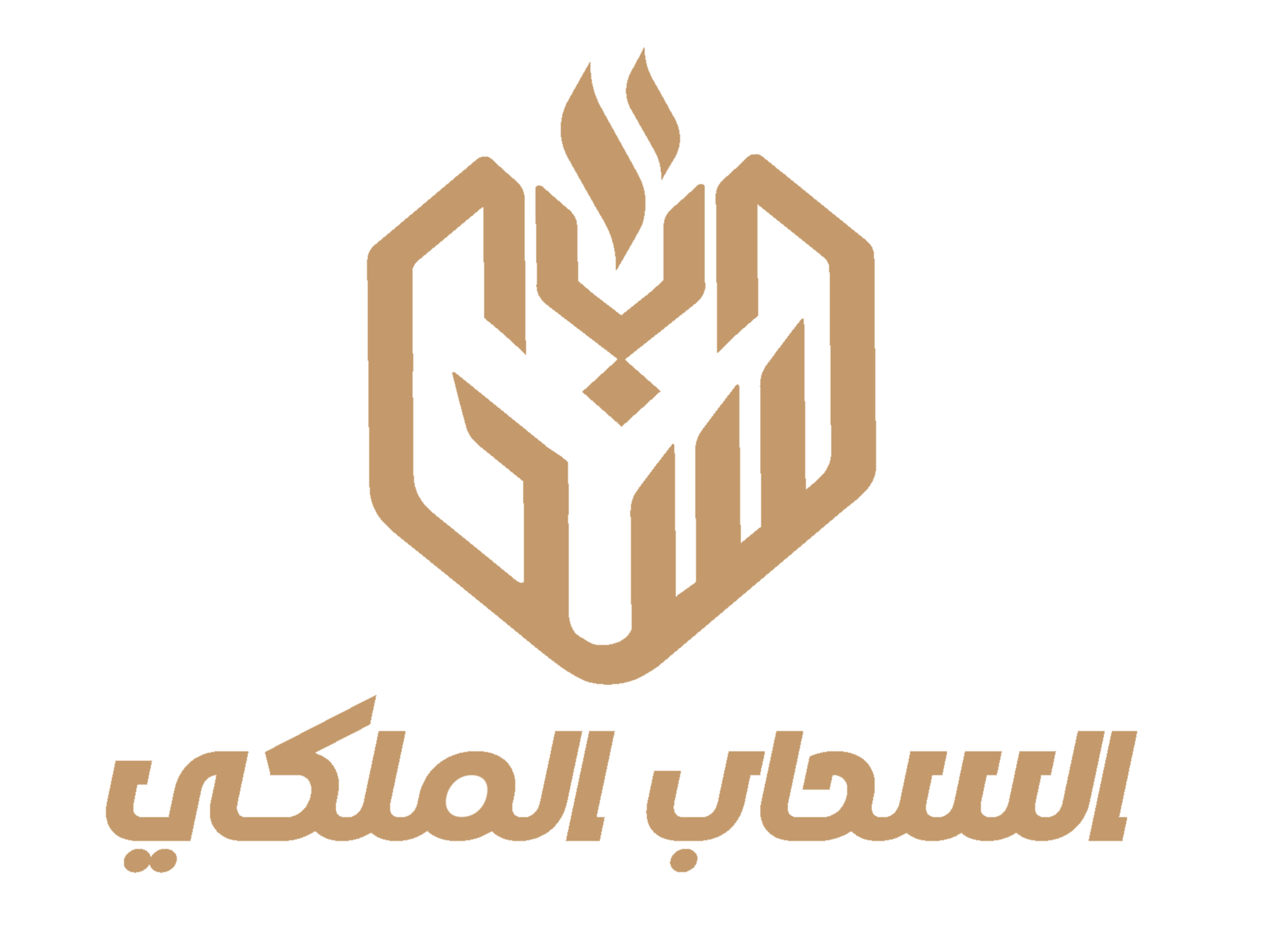 Client logo 74